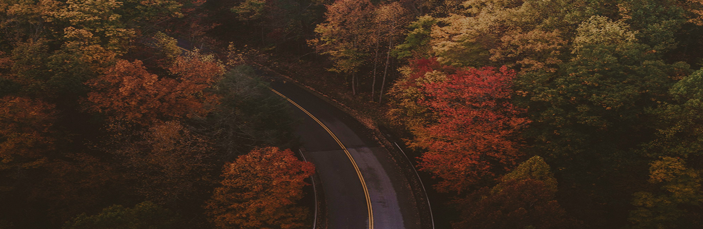 Winding road in a orange fall forest