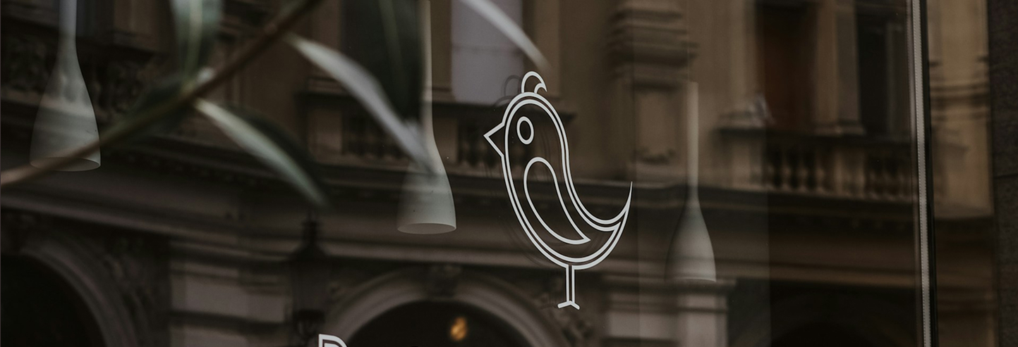 little bird logo